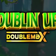 Dublin Up DoubleMax