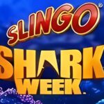 Slingo Shark Week Slot Game
